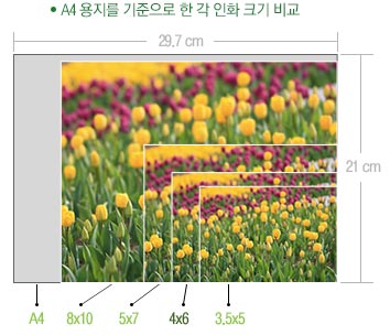 A4 용지를 기준으로 한 각 인화 크기 비교표